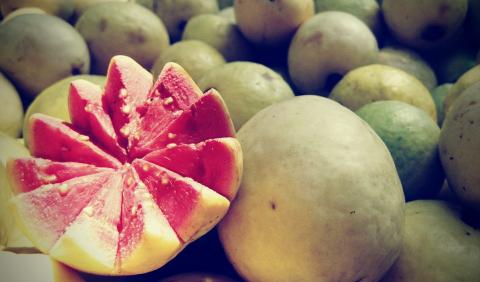 Amazing Benefits Of Guava Juice