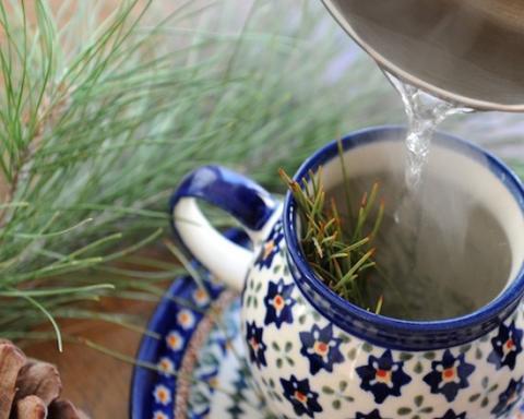 Pine Needle Tea - A Healthy Alternative